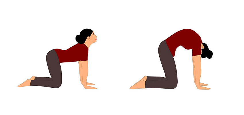 Health Benefits of Downward Facing Dog Pose know here How To Do Adho Mukha  Svanasana brmp | Downward Facing Dog Pose: रोज करें यह 1 आसन, शरीर को  मिलेंगे गजब के फायदे,