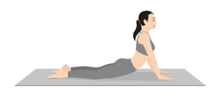 Cobra Pose, Beautiful girl practice Bhujangasana. Young attractive woman practicing yoga exercise. working out, black wearing sportswear, grey pants and top, indoor full length, calmness and relax.