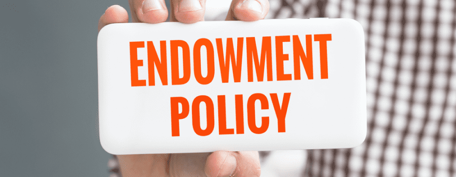 Image Of Endowment Policy Online