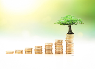 Endowment fund concept: Stacks of golden coins with big tree on blurred nature background