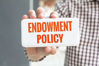 Image Of Endowment Policy - Article Banner