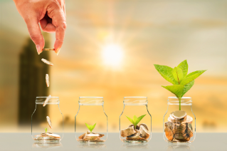Investor hand hold and drop a gold coin in the bottle and plant growing with savings money on photo blur cityscape on sunlight background, Business investment and saving money concept.