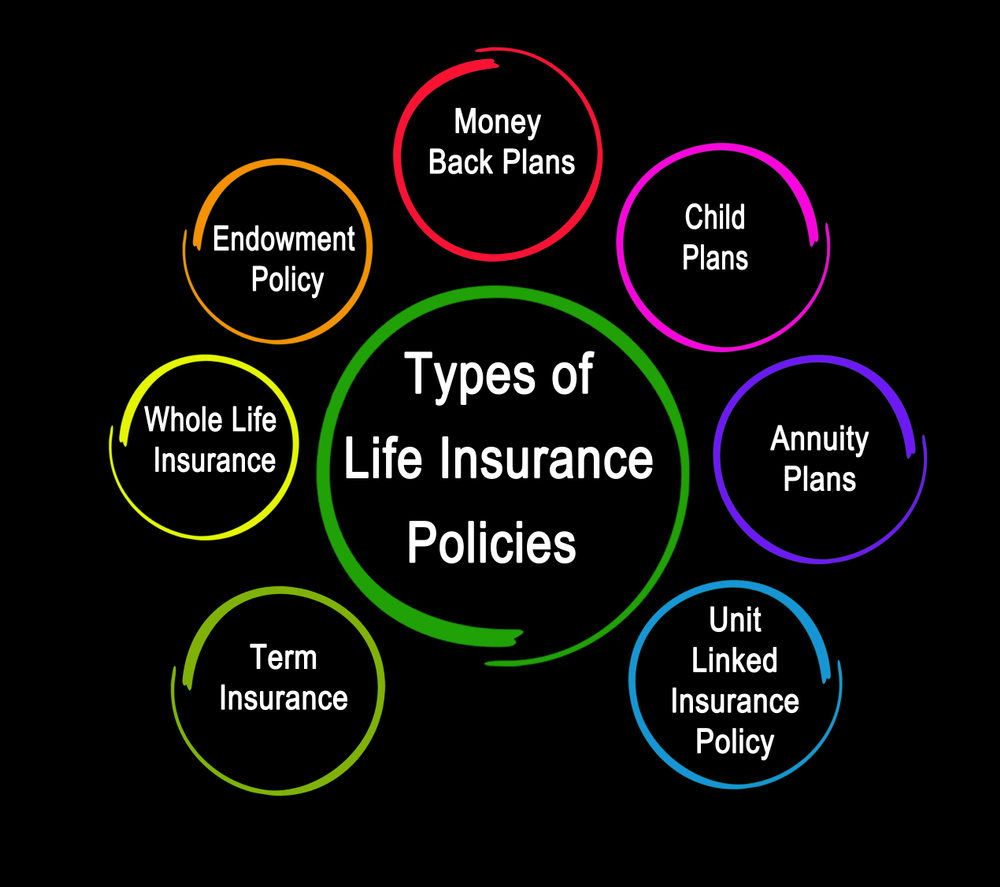Type Of Life Insurance - Banner Image
