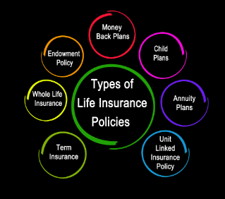 Seven types of life insurance