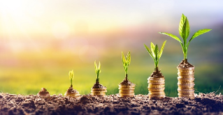 Growing Money - Plant On Coins - Finance And Investment Concept