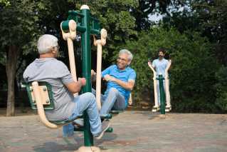Indian senior males enjoying the exercises at park
