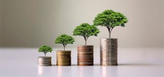 Showing financial developments and business growth with a growing tree on a coin.