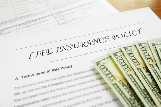Life insurance policy and cash                               