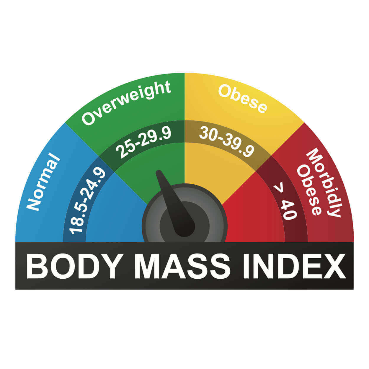 Scale With Body Mass Index (BMI) Function