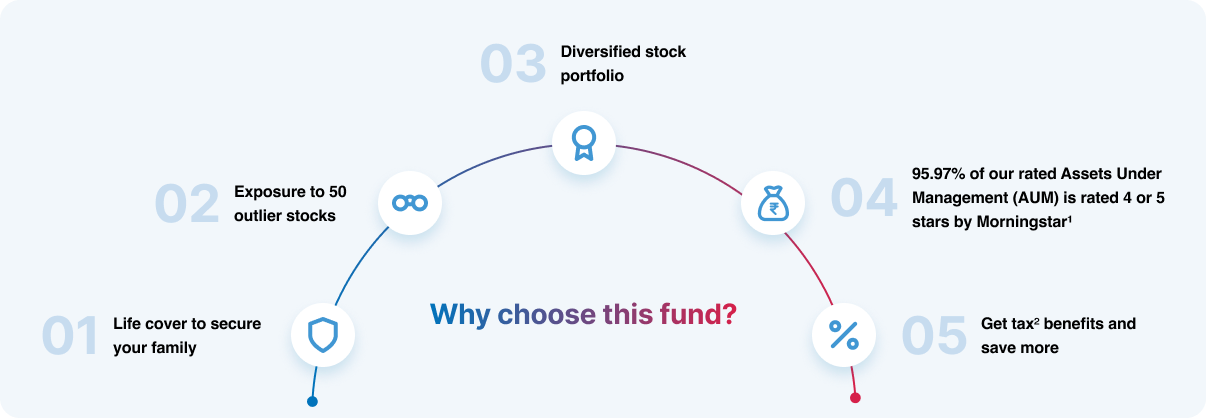 Benefits of Choosing the Rising India Fund