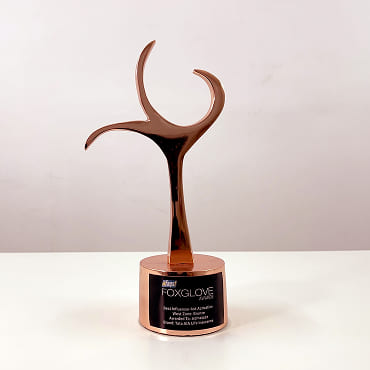 Bronze 