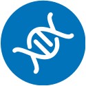HLV